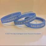 Esophageal Cancer Awareness Periwinkle Bracelet Wristbands- The Salgi Esophageal Cancer Research&nbsp;Foundation